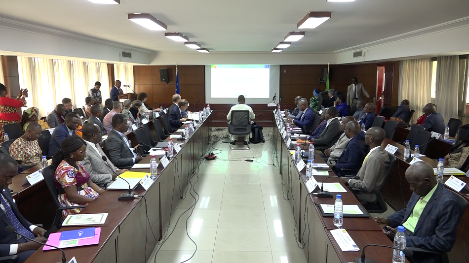 Le Congo et l’Union européenne déterminés à améliorer la gouvernance forestière dans le cadre du processus APV-FLEGT